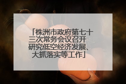 株洲市政府第七十三次常务会议召开 研究低空经济发展、大抓落实等工作