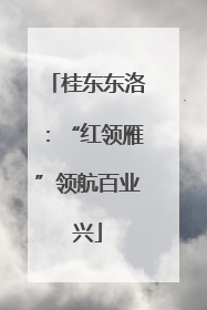 桂东东洛：“红领雁”领航百业兴