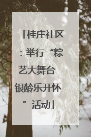 桂庄社区：举行“粽艺大舞台 银龄乐开怀”活动