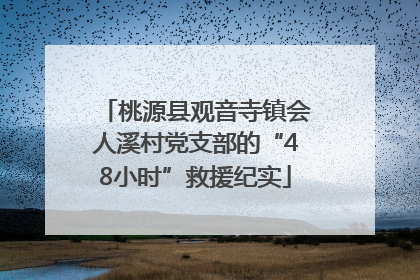 桃源县观音寺镇会人溪村党支部的“48小时”救援纪实