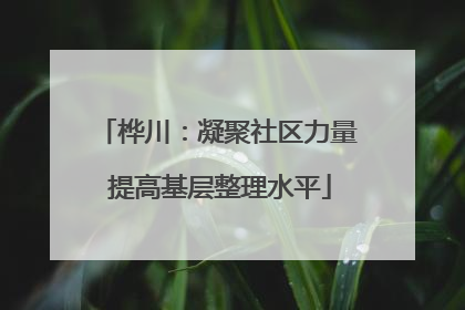 桦川：凝聚社区力量 提高基层整理水平