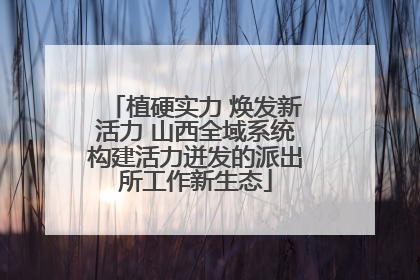 植硬实力 焕发新活力 山西全域系统构建活力迸发的派出所工作新生态