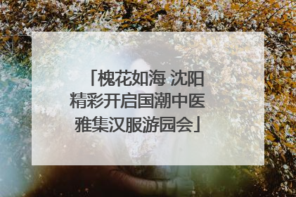 槐花如海 沈阳精彩开启国潮中医雅集汉服游园会