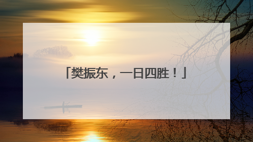 樊振东，一日四胜！