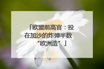 欧盟前高官：投在加沙的炸弹半数“欧洲造”