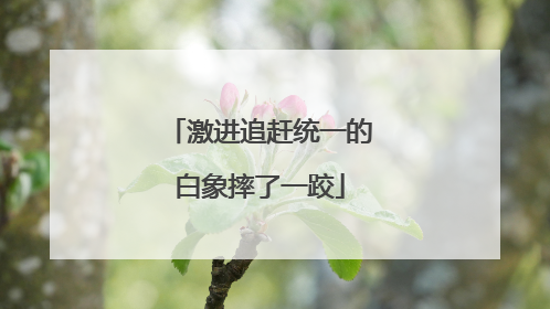 激进追赶统一的白象摔了一跤