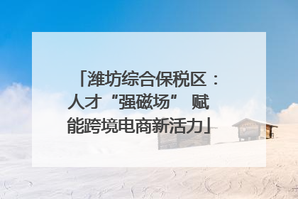 潍坊综合保税区：人才“强磁场” 赋能跨境电商新活力