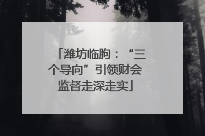 潍坊临朐：“三个导向”引领财会监督走深走实