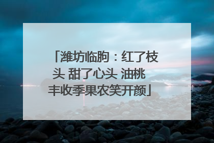 潍坊临朐：红了枝头 甜了心头 油桃丰收季果农笑开颜