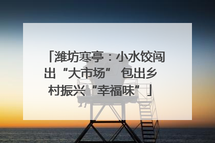 潍坊寒亭：小水饺闯出“大市场” 包出乡村振兴“幸福味”