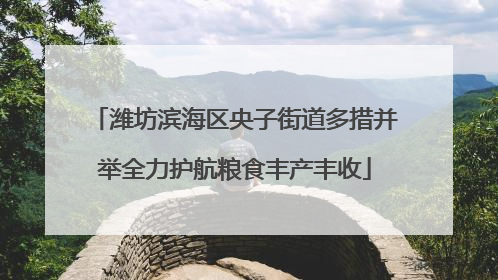 潍坊滨海区央子街道多措并举全力护航粮食丰产丰收