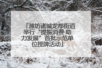 潍坊诸城龙都街道举行“提振消费·助力发展”首批示范单位授牌活动