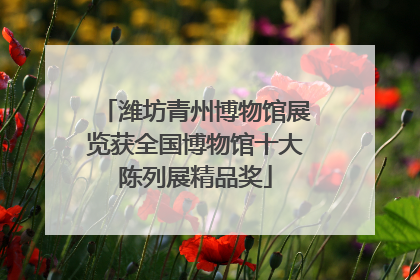 潍坊青州博物馆展览获全国博物馆十大陈列展精品奖