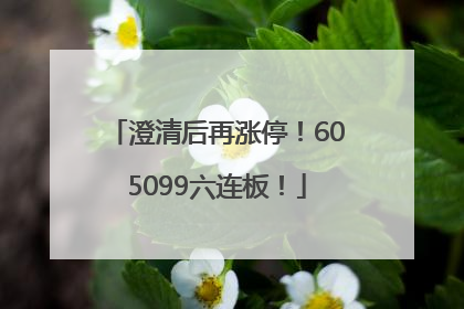 澄清后再涨停！605099六连板！