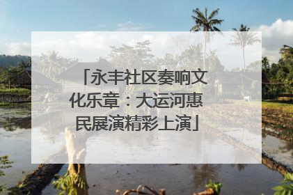 永丰社区奏响文化乐章：大运河惠民展演精彩上演