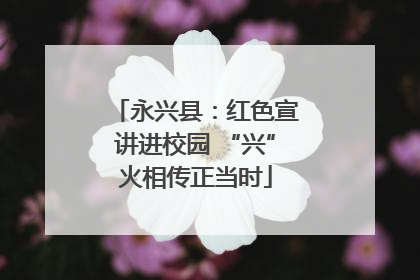 永兴县：红色宣讲进校园 “兴”火相传正当时
