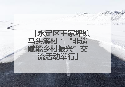 永定区王家坪镇马头溪村：“非遗赋能乡村振兴”交流活动举行