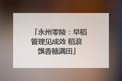 永州零陵：早稻管理见成效 稻浪飘香穗满田
