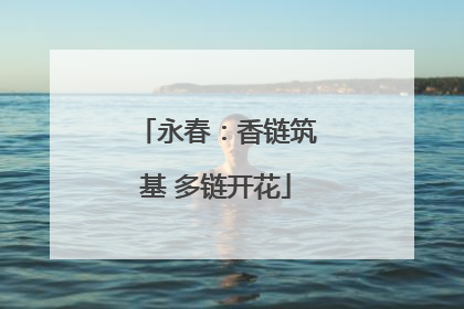 永春：香链筑基 多链开花