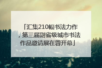 汇集210幅书法力作，第三届副省级城市书法作品邀请展在蓉开幕