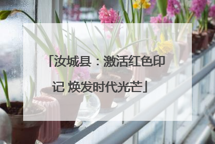 汝城县：激活红色印记 焕发时代光芒