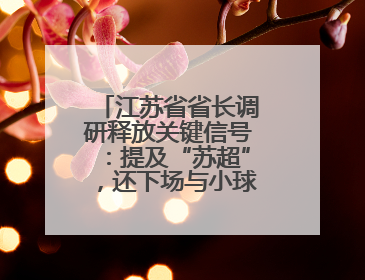 江苏省省长调研释放关键信号：提及“苏超”，还下场与小球员踢球互动