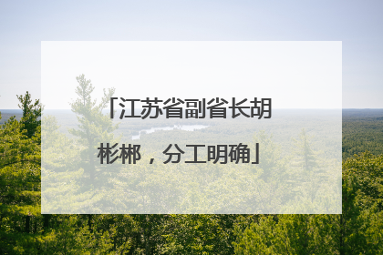 江苏省副省长胡彬郴，分工明确