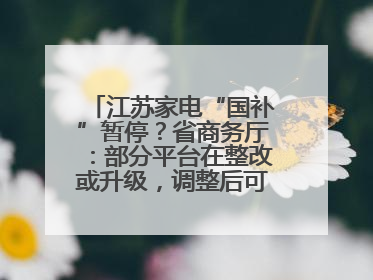 江苏家电“国补”暂停？省商务厅：部分平台在整改或升级，调整后可正常使用