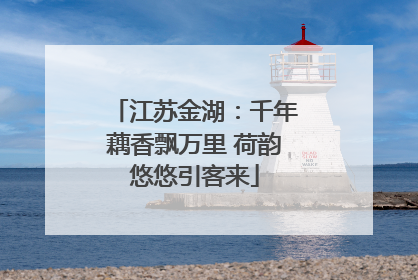 江苏金湖：千年藕香飘万里 荷韵悠悠引客来