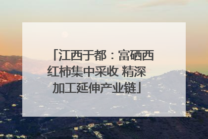 江西于都：富硒西红柿集中采收 精深加工延伸产业链