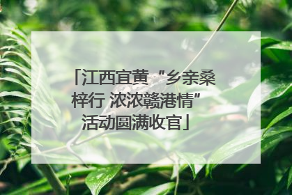 江西宜黄“乡亲桑梓行 浓浓赣港情”活动圆满收官