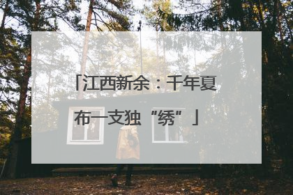 江西新余：千年夏布一支独“绣”