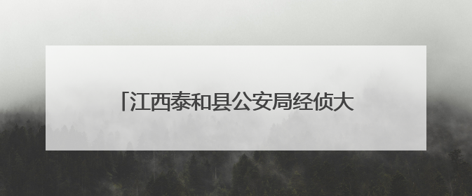 江西泰和县公安局经侦大队：运用新型警务助力护企安商跑出“加速度”