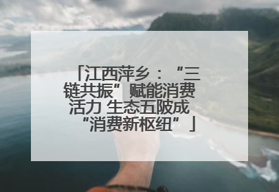 江西萍乡：“三链共振”赋能消费活力 生态五陂成“消费新枢纽”
