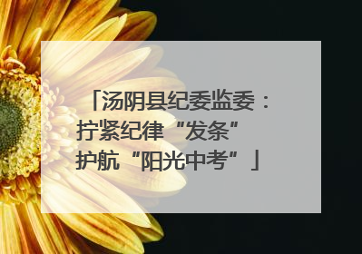 汤阴县纪委监委：拧紧纪律“发条” 护航“阳光中考”