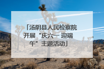 汤阴县人民检察院开展“庆六一 迎端午”主题活动
