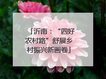 沂南：“四好农村路”舒展乡村振兴新画卷