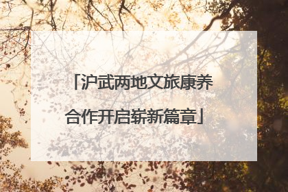 沪武两地文旅康养合作开启崭新篇章