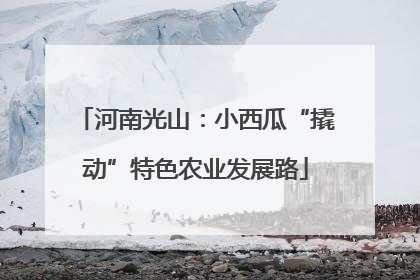 河南光山：小西瓜“撬动”特色农业发展路
