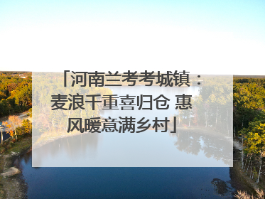 河南兰考考城镇：麦浪千重喜归仓 惠风暖意满乡村