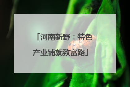 河南新野：特色产业铺就致富路