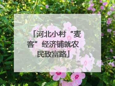 河北小村“麦客”经济铺就农民致富路