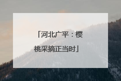 河北广平：樱桃采摘正当时