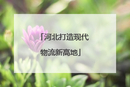 河北打造现代物流新高地
