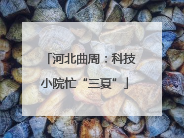 河北曲周：科技小院忙“三夏”