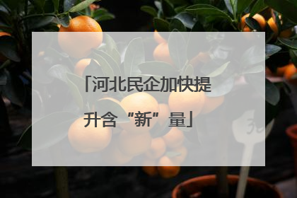 河北民企加快提升含“新”量