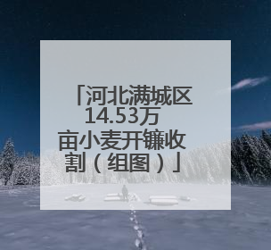 河北满城区14.53万亩小麦开镰收割（组图）