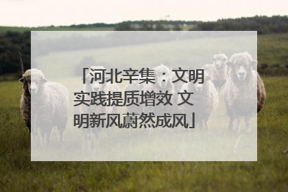 河北辛集：文明实践提质增效 文明新风蔚然成风