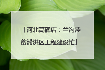 河北高碑店：兰沟洼蓄滞洪区工程建设忙
