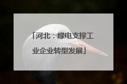 河北：绿电支撑工业企业转型发展